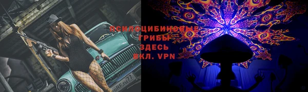 дживик Абинск