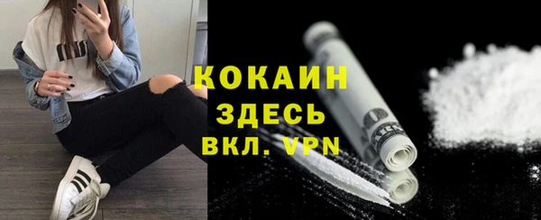 дживик Абинск