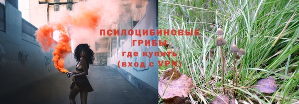 дживик Абинск
