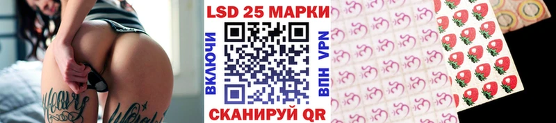 дарк нет как зайти  Кингисепп  mega маркетплейс  Марки 25I-NBOMe 1,5мг  купить наркотики сайты 