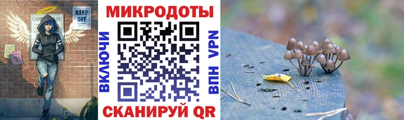 Псилоцибиновые грибы мицелий  блэк спрут ТОР  Кингисепп  цена  