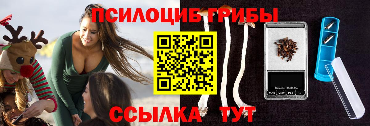 Кингисепп  Галлюциногенные грибы мухоморы  Вход с VPN 